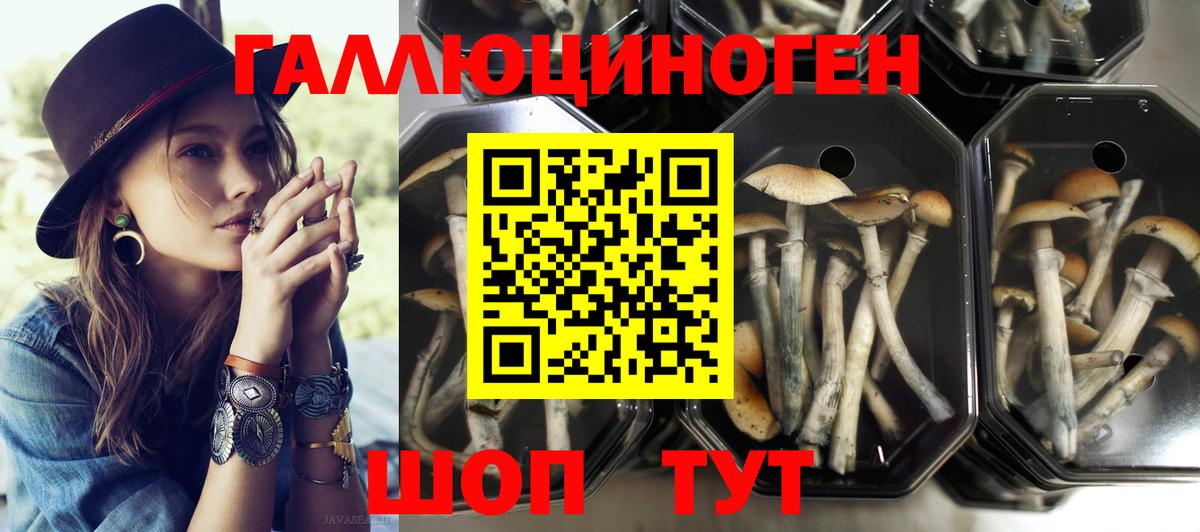 Псилоцибиновые грибы прущие грибы  Псилоцибиновые грибы Psilocybine cubensis  Вход с VPN  Назарово 